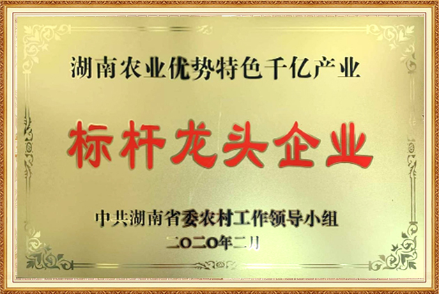 标杆龙头企业
