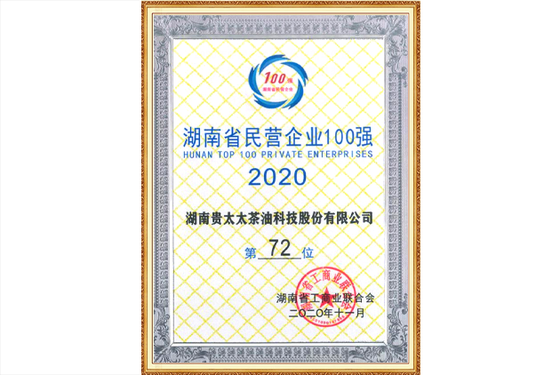 湖南省民营企业100强