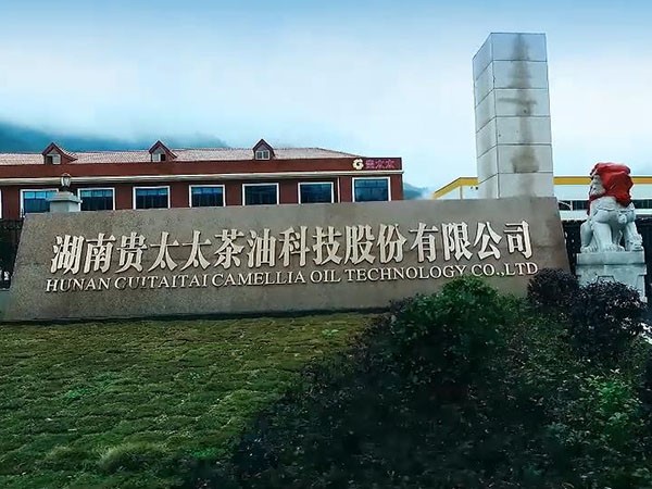 贵太太专题片