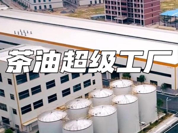茶油超级工厂