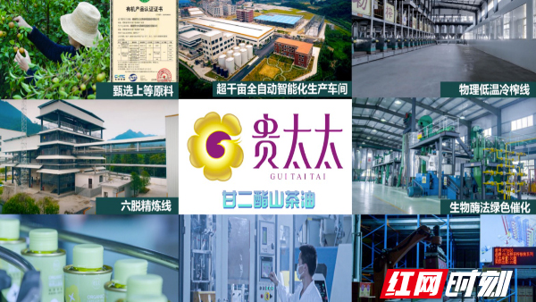 “贵太太”甘二酯山茶油 开启茶油产业创新新纪元