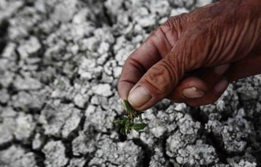 钝化土壤重金属